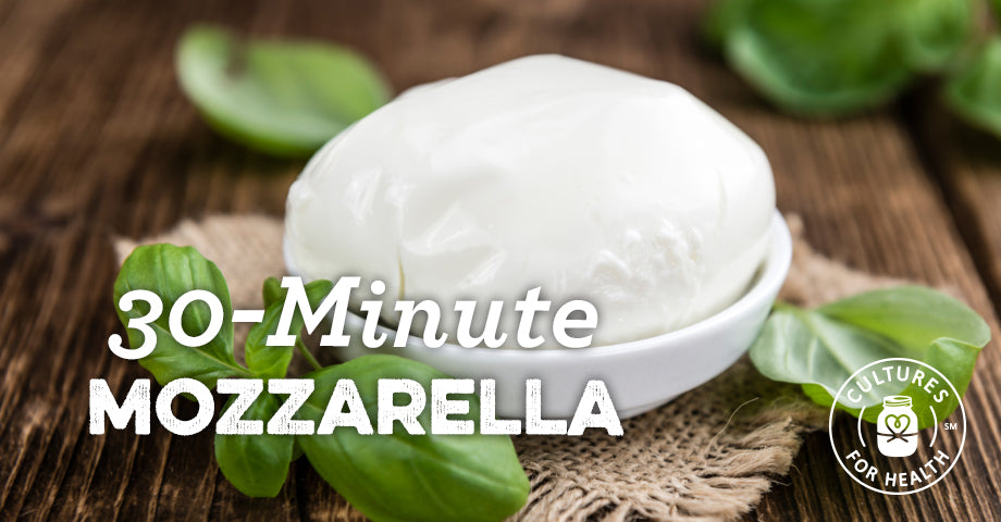 Recipe: Mozzarella Recipe | 30 Minute Homemade Mozzarella
