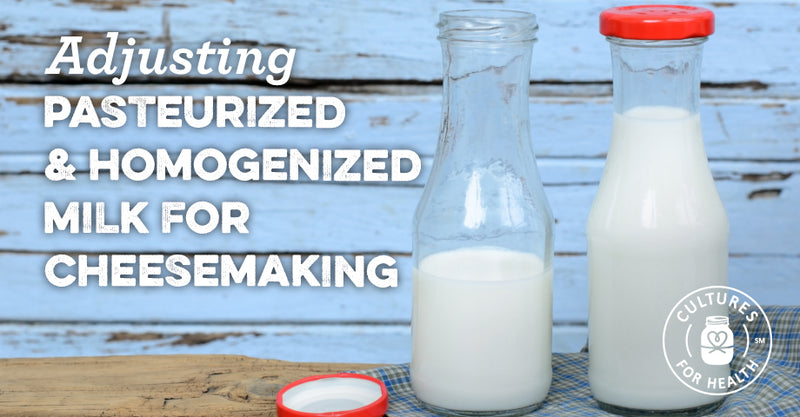 Adjusting Pasteurized &amp; Homogenized Milk for Cheesemaking 