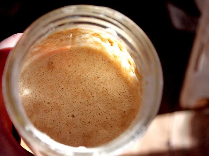 The Space Cadet's Guide to Keeping a Sourdough Starter