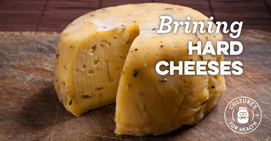 Brining Hard Cheeses