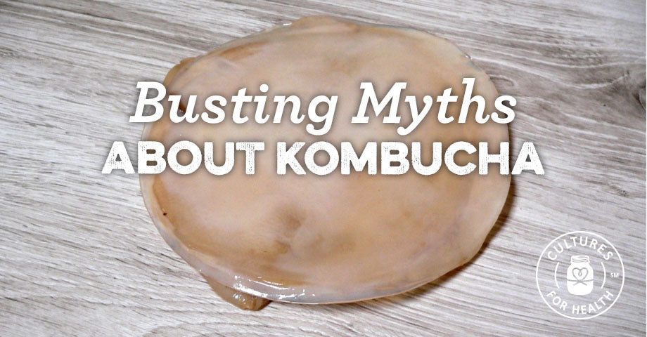 Which of These Kombucha Myths is Holding You Back?