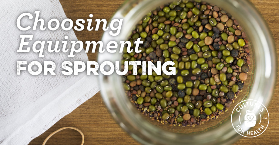 Choosing Equipment For Sprouting