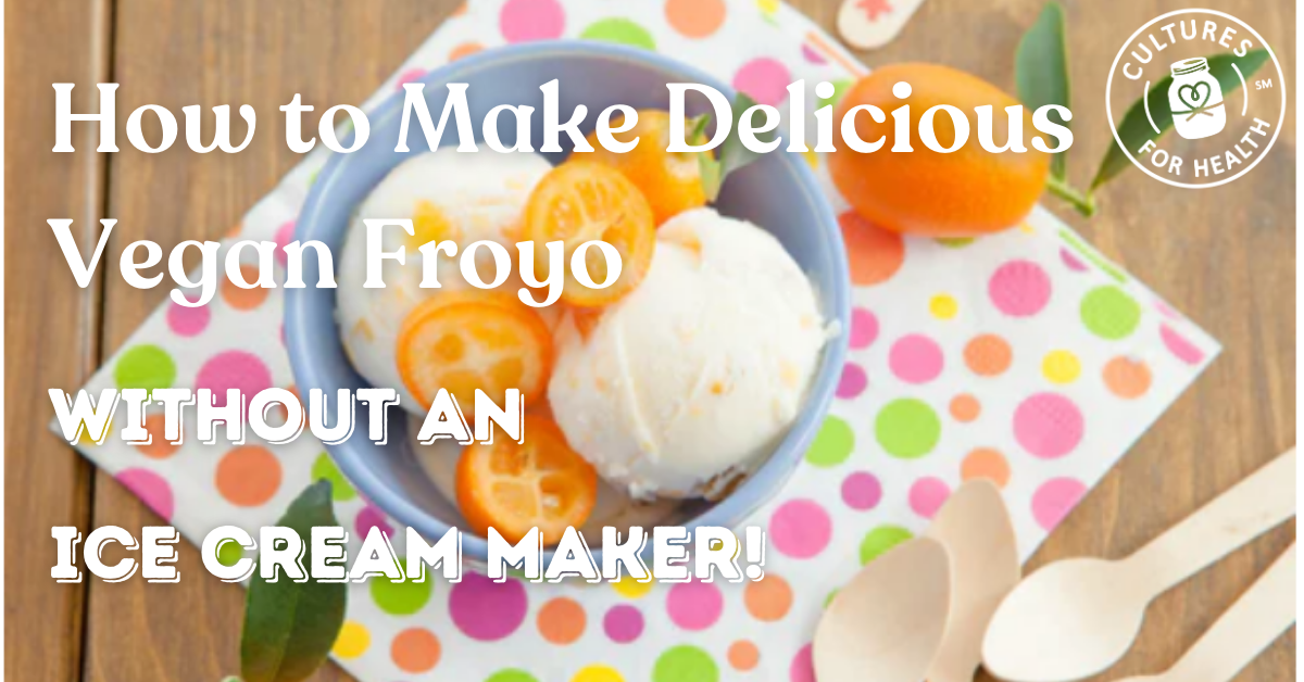 Vegan Froyo Recipe  How to Make Plant Based Frozen Yogurt