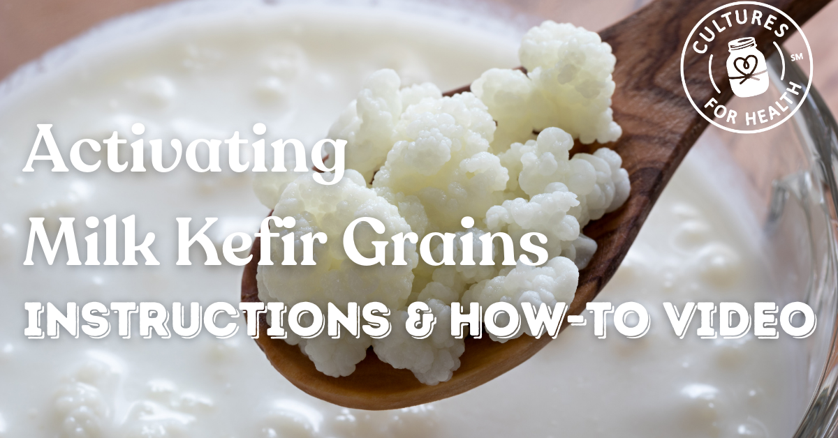 Activating Milk Kefir Grains | Instructions & How-to Video
