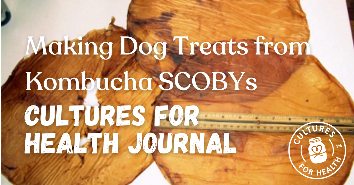 Making Dog Treats from Kombucha SCOBYs | Cultures for Health Journal