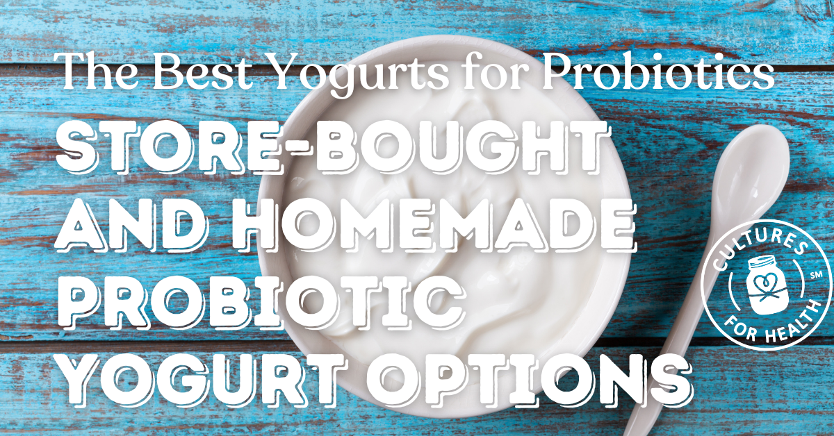 The Best Yogurts for Probiotics: Store-Bought and Homemade Probiotic Yogurt Options