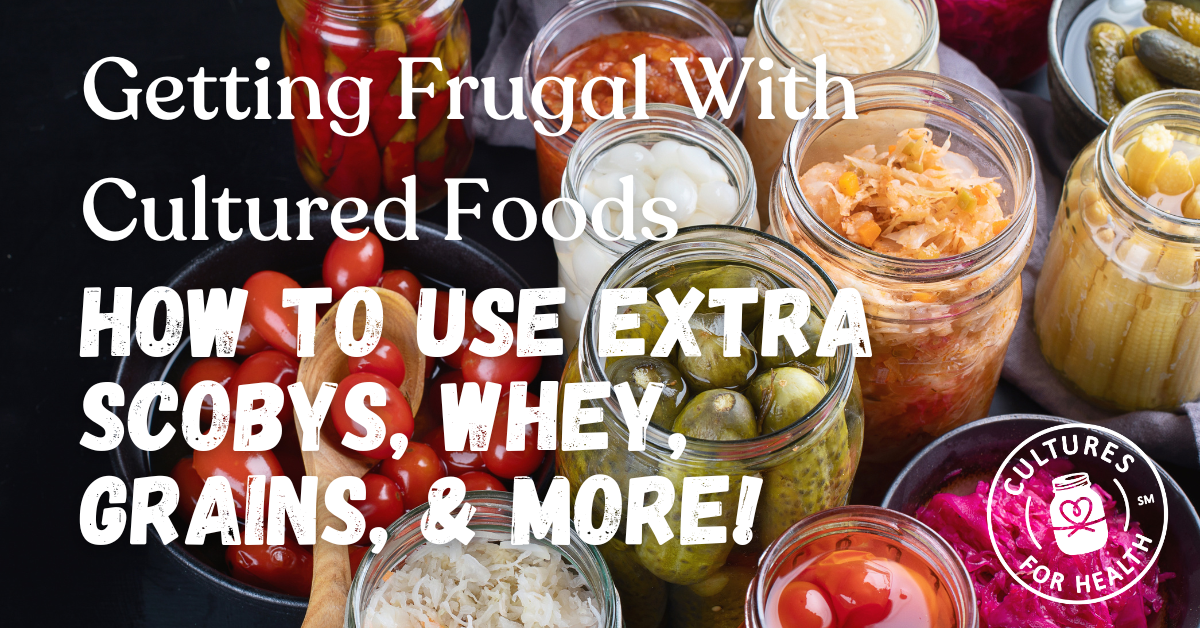 Getting Frugal With Cultured Foods: How to Use Extra SCOBYs, Whey, Grains, & More!