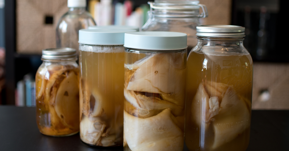 what is a scoby Kombucha 