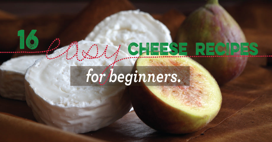 16 Easy Cheese Recipes