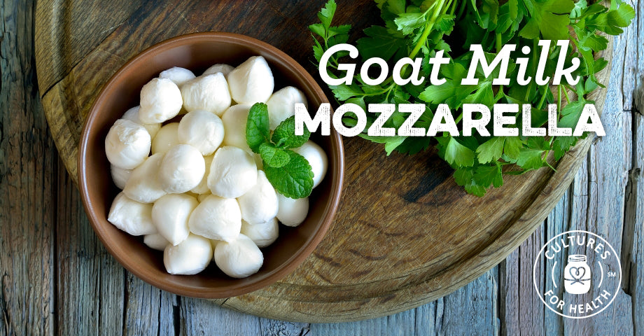 Recipe: Goat Milk Mozzarella