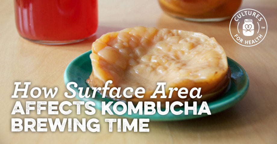 Kombucha Brewing Time: How Surface Area Affects Kombucha Brew Time
