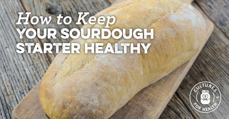 https://culturesforhealth.com/cdn/shop/articles/How-To-Keep-Your-Sourdough-Starter-Healthy2_header_01.jpg?v=1653507314