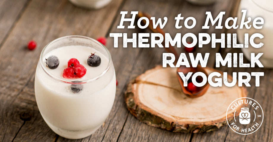 How to Make Thermophilic Raw Milk Yogurt