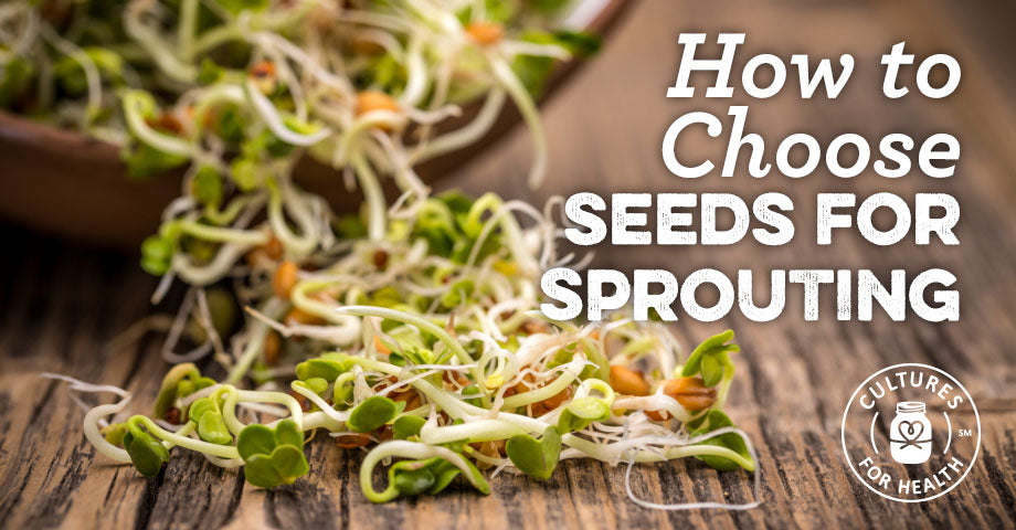 How To Choose The Seeds To Sprout