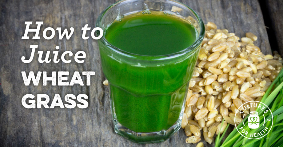How To Make Wheat Grass Juice