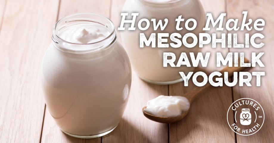 How to Make Mesophilic Raw Milk Yogurt