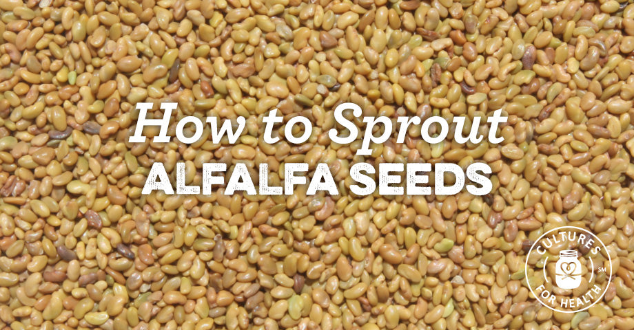 Alfalfa Seeds () Alfalfa Seeds