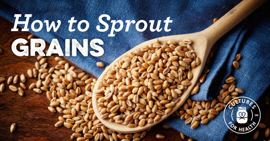 How To Sprout Grains