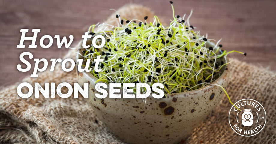 How To Sprout Onion Seeds