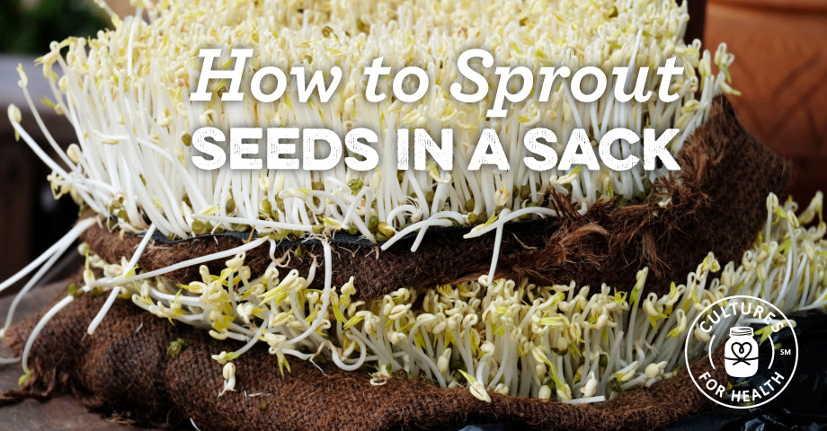 How To Sprout Seeds In A Sack