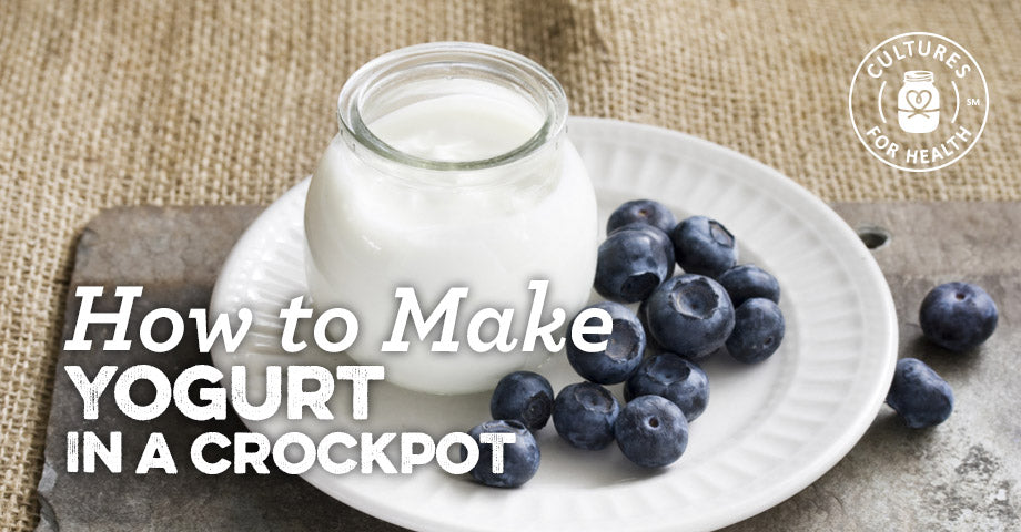 Slow Cooker Yogurt: Making Yogurt in a Crockpot