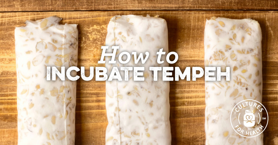 How to Incubate Tempeh
