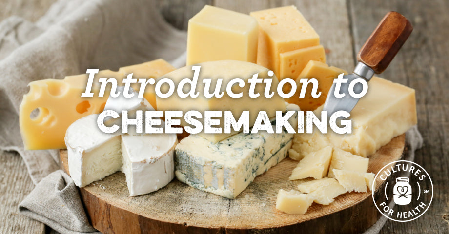 Introduction To Homemade Cheese