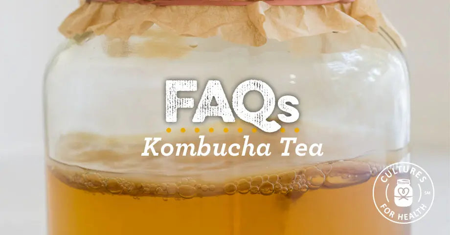 The 30+ Most Common Questions About Kombucha Tea | Kombucha FAQ