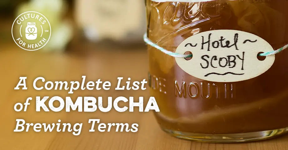 The Complete Kombucha Brewing Glossary: Baby SCOBYs to Second Fermentation