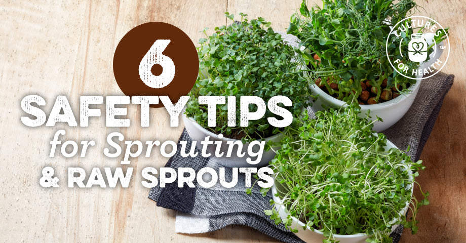 Restrain Sprout 6 Safety Tips for Sprouting & Raw Sprouts - Cultures For Health
