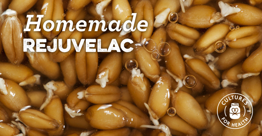 How to Make Rejuvelac | Homemade Rejuvelac Recipe - Cultures For Health