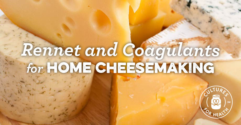 Rennet And Other Popular Coagulants For Home Cheese Making