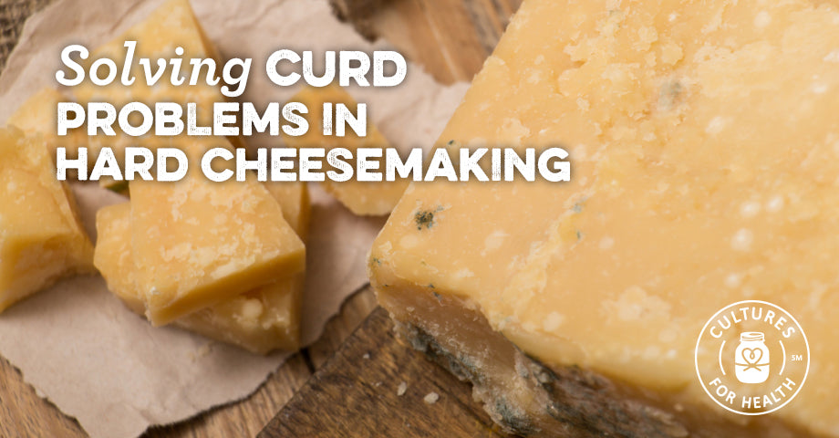 Solving Curd Problems In Hard Cheesemaking