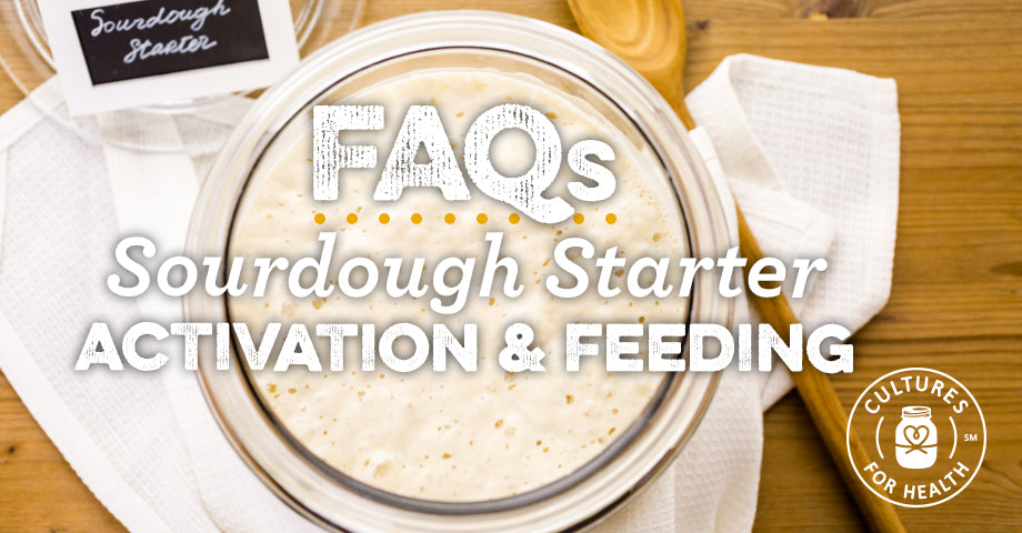 Sourdough Starter Activation and Feeding FAQ