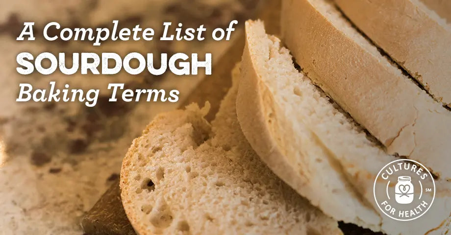 A Complete Glossary of Sourdough Terminology