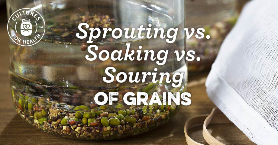 Sprouting vs. Souring vs. Soaking Of Grains