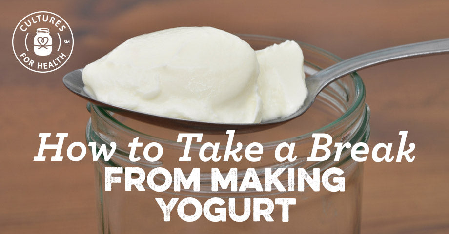 https://culturesforhealth.com/cdn/shop/articles/Taking-a-Break-From-Making-Yogurt_header2.jpg?v=1653676049