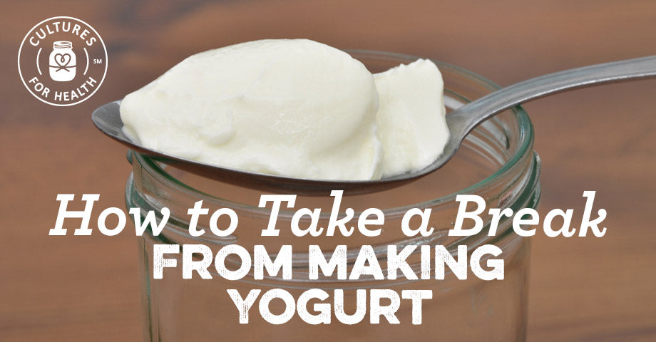 Taking a Break from Making Yogurt
