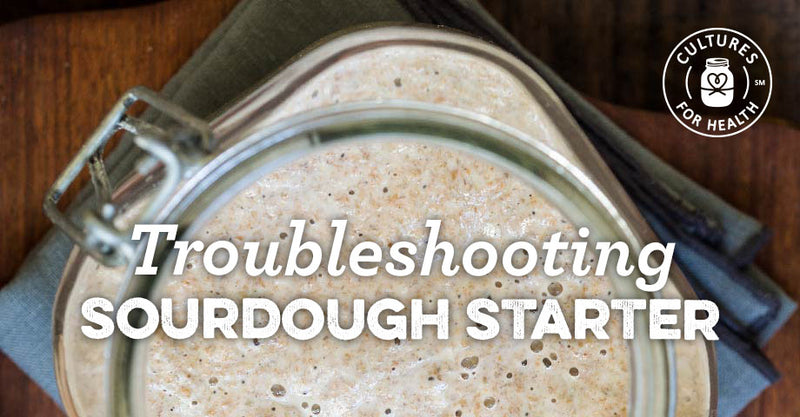 How to Troubleshoot a Sourdough Starter - Dirt and Dough