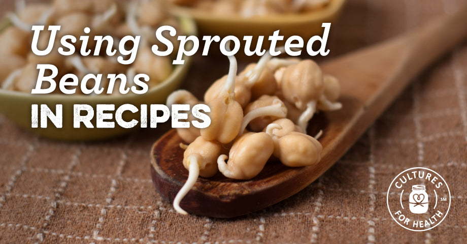 How to Cook with Sprouted Beans