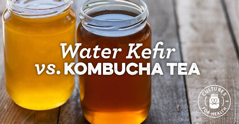 Discover the Difference Between Kombucha and Water Kefir: Which One is Right for You?