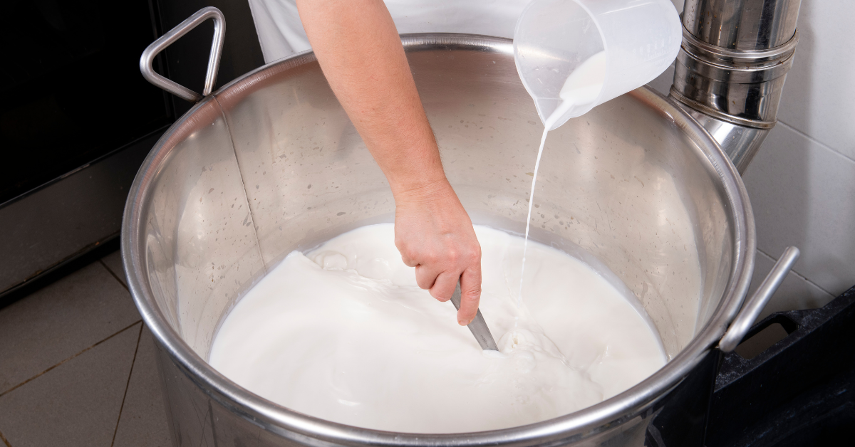 What is Rennet? | Learn about Animal & Vegetable Rennet - Cultures For ...