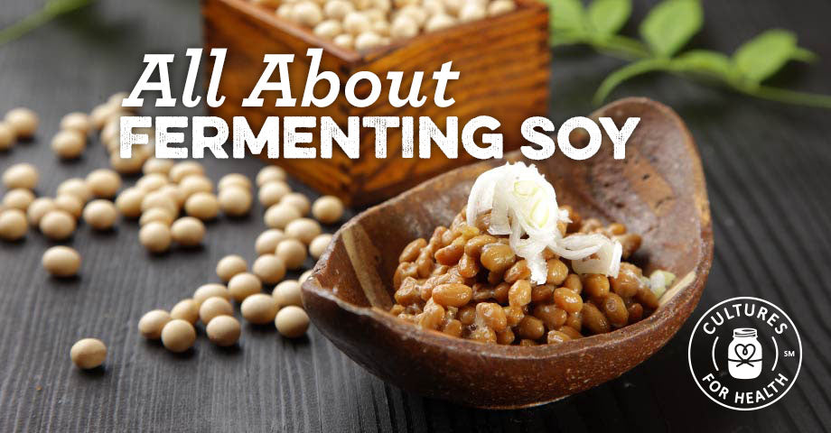 What are Fermented Soybeans?