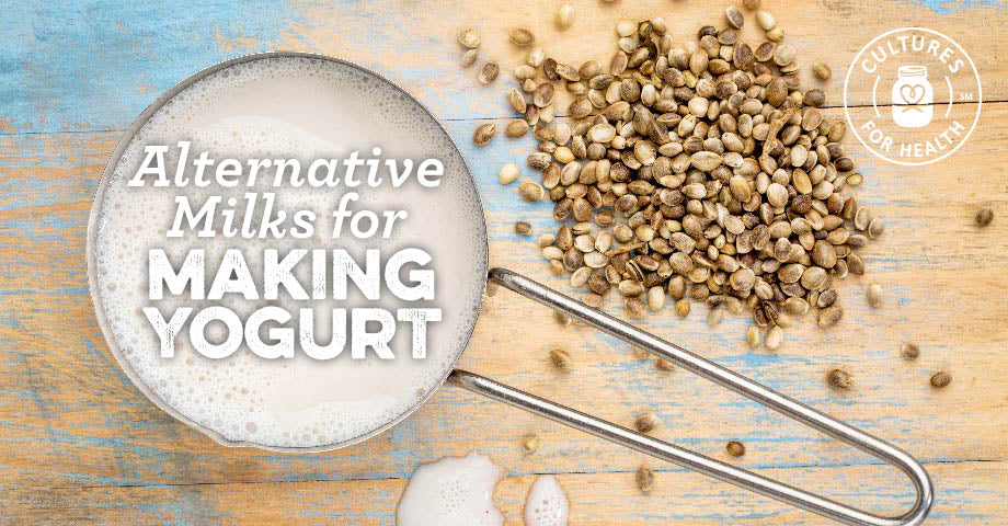 Alternative Milks for Making Yogurt | Making Yogurt with Coconut, Soy, Rice and Nut Milks