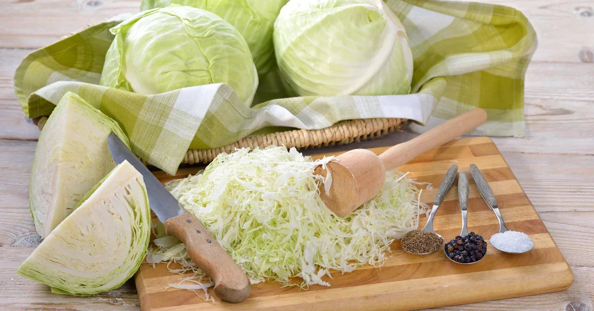 Is Sauerkraut Good For You? 7 Top Sauerkraut Benefits Cultures For