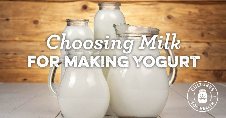 Choosing Milk To Make Pasteurized Yogurt