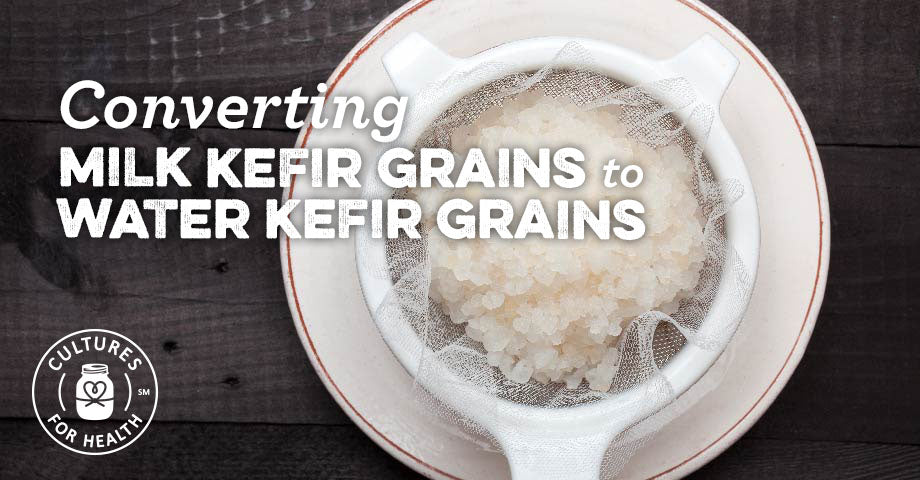 Converting Milk Kefir Grains to Water Kefir Grains