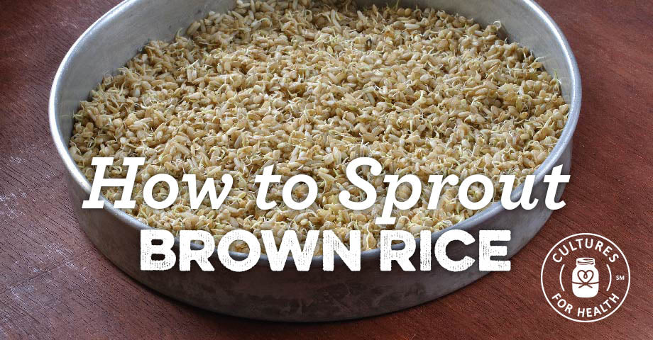 Sprouted Brown Rice | How To Sprout Brown Rice - Cultures For Health
