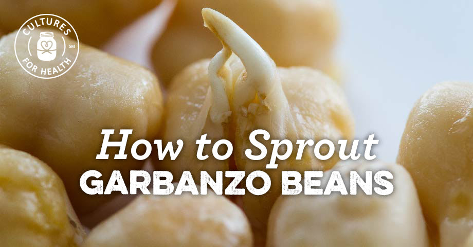 Learn about Sprouting Garbanzo Beans At Home