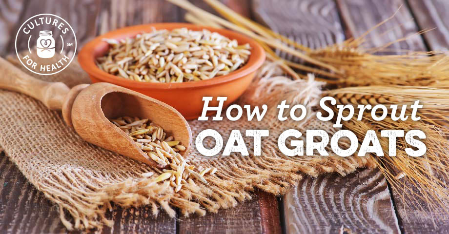How To Sprout Oat Groats Cultures For Health 2936